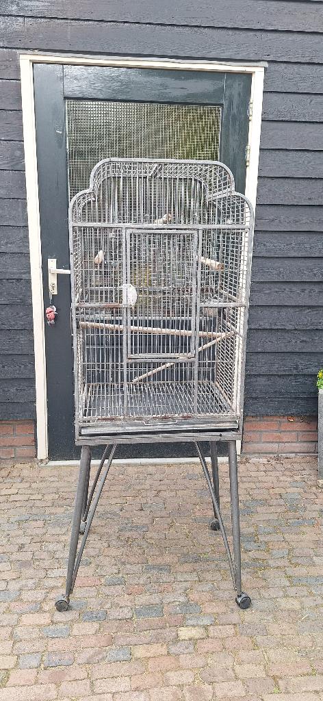 Grote stevige Papegaai Kooi op wieltjes, Ophalen, Gebruikt, Metaal, Vogelkooi