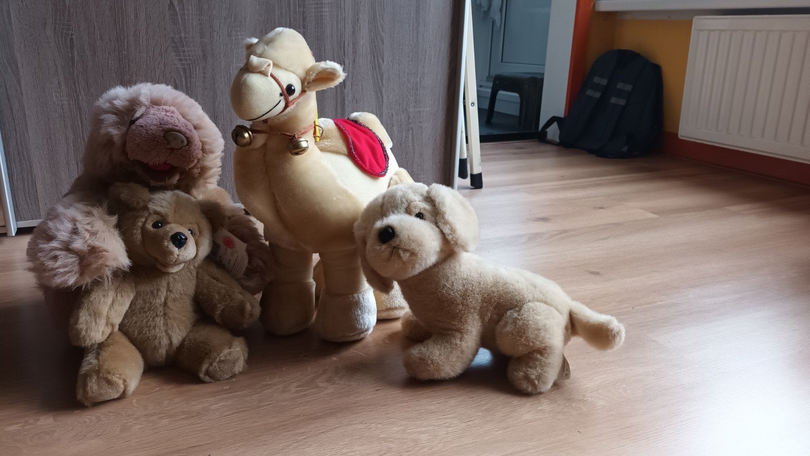 4 knuffels: kameel / dromedaris, 2 beren, 1 hond, Gebruikt, Overige typen, Ophalen of Verzenden, Middelgroot (20 tot 80 cm)
