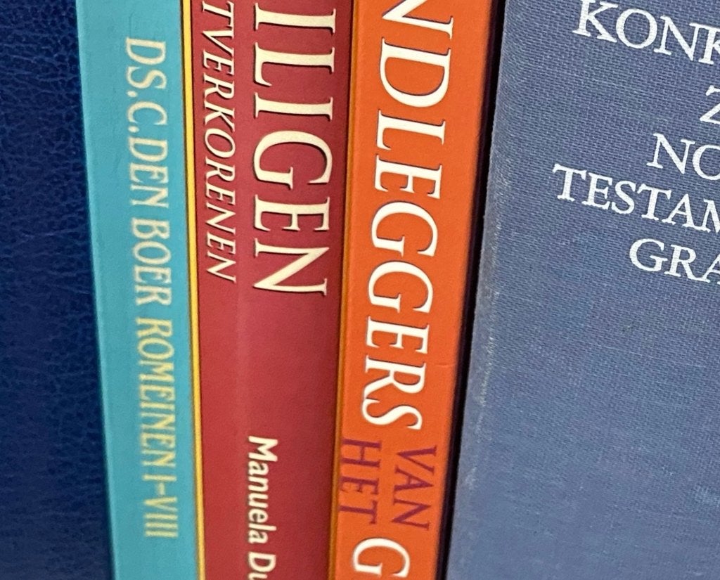 10) Romeinen I-VIII deel 1, Ophalen of Verzenden, Zo goed als nieuw, Ds den Boer, Christendom | Katholiek