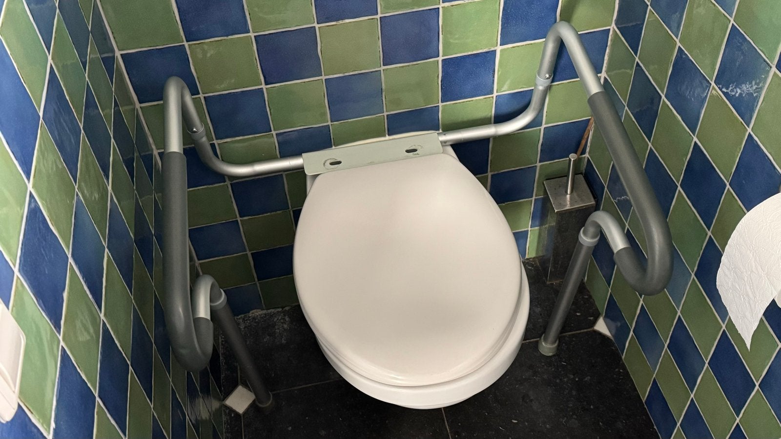Toiletsteun, Ophalen of Verzenden, Gebruikt