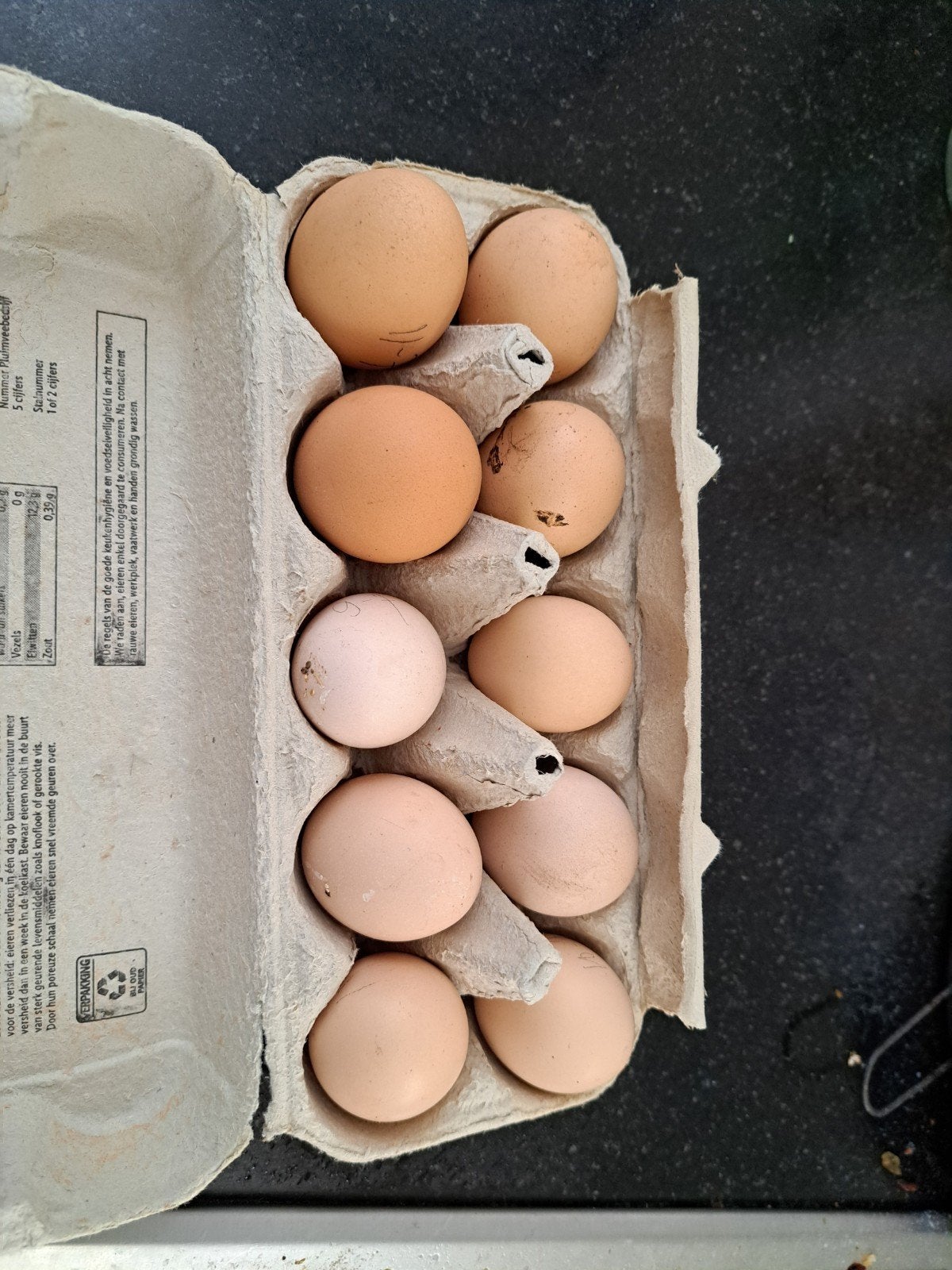 Broedeieren Wyandotte met Sussex, Bleu en Barnevelder mix, Ophalen