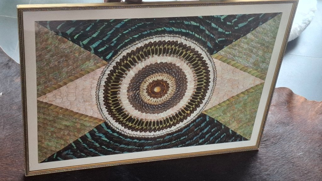 uniek kunstwerk gemaakt met honderden vlindervleugels, Ophalen, Gebruikt, Insect, Opgezet dier