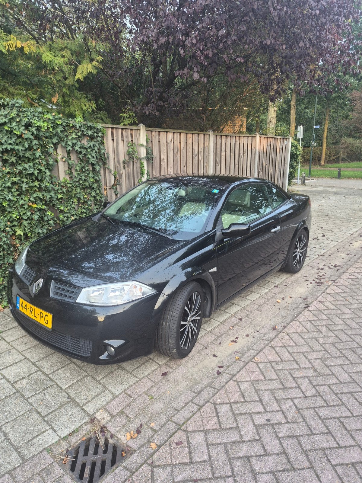 Foto 3 van Renault Mégane 2.0 Turbo 16V 163PK 2005 Zwart