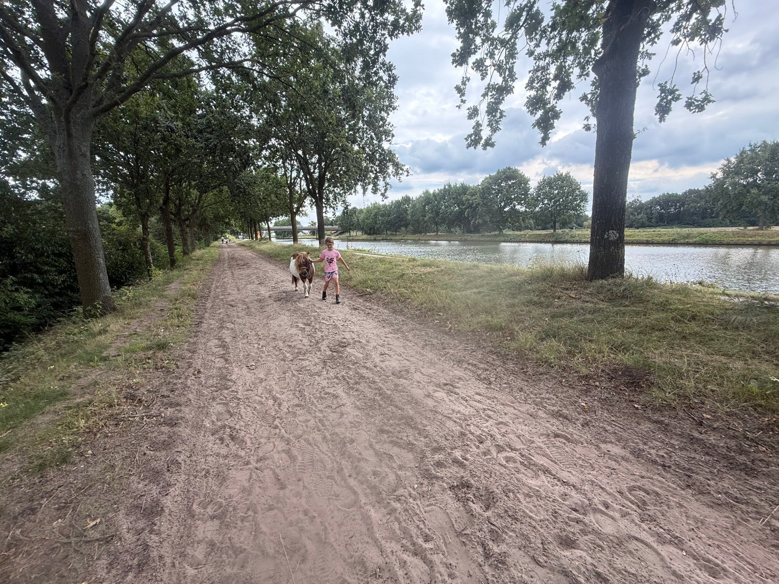 2 plekken vrij op doe het samen plek 24/7 buiten, Dieren en Toebehoren, Stalling, 2 of 3 paarden of pony's