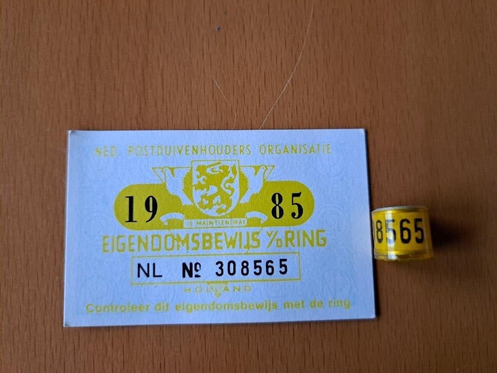 Duivenring 1985 met bewijs postduiven, Ophalen of Verzenden, Beeldje of Figuurtje