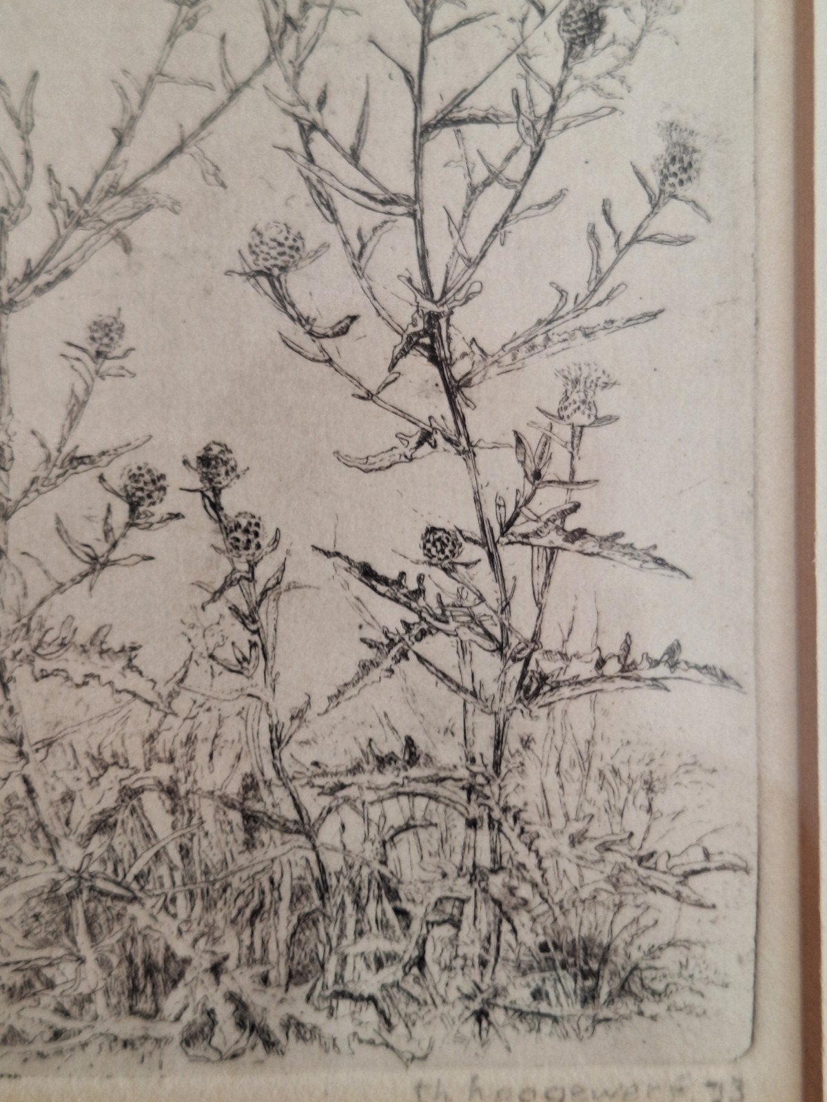 van Th Hoogerwerff ingelijstpentekeningen, Antiek en Kunst, Ophalen, Tekening, Pentekening, Handgemaakt