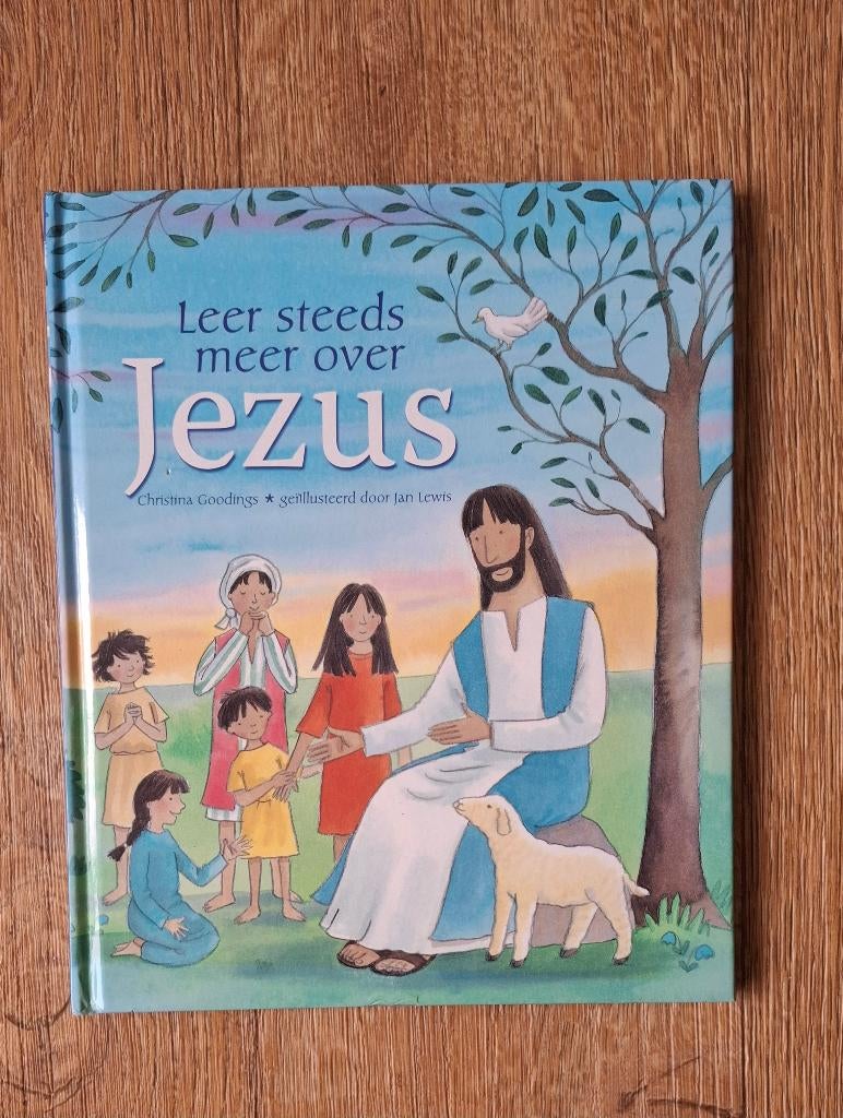 kinderbijbel 'Leer steeds meer over Jezus', Ophalen of Verzenden, Gelezen, Christendom | Protestants