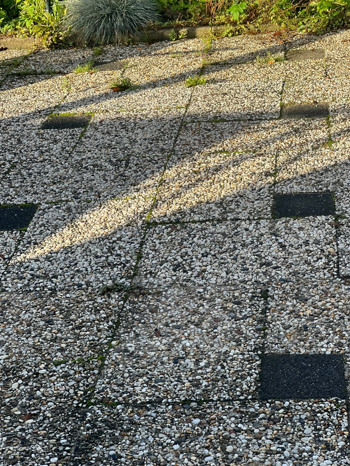 Gratis ophalen tuintegels dordrecht, Ophalen of Verzenden, Zo goed als nieuw, Hout