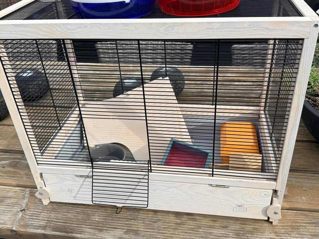 Hamster knaagdieren kooi luxe, Minder dan 60 cm, Kooi, Minder dan 75 cm, Ophalen of Verzenden