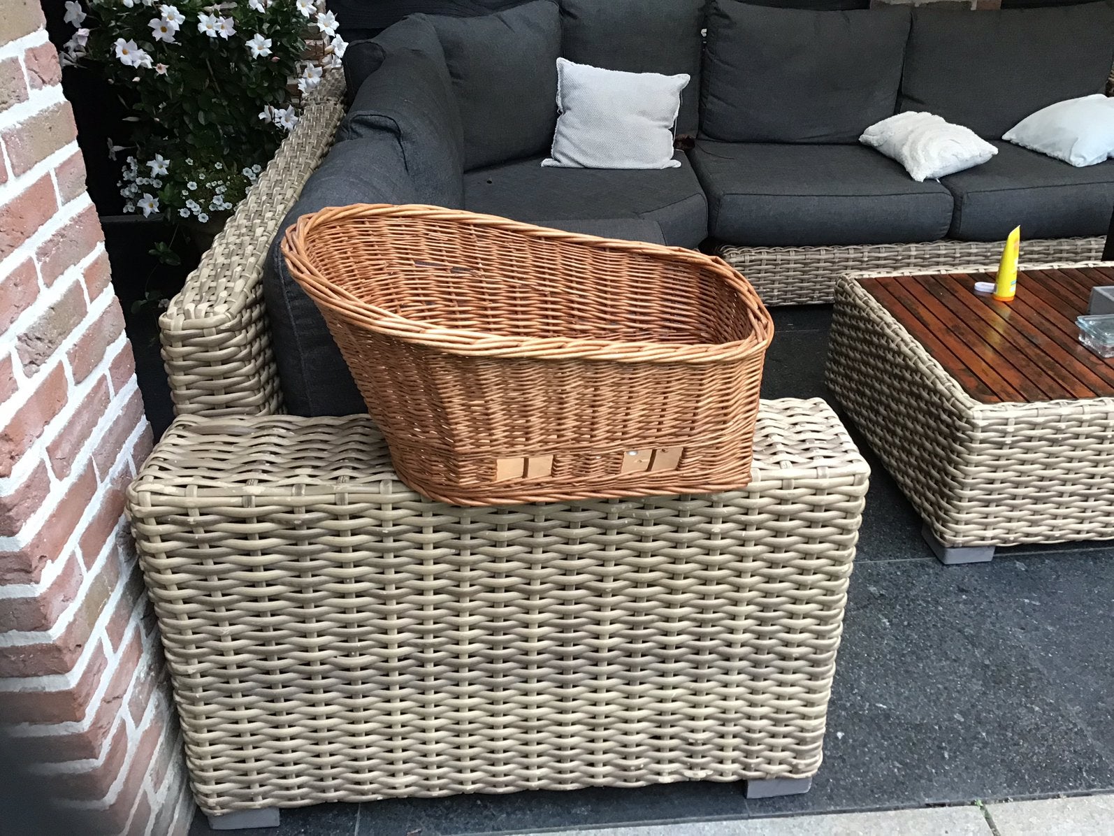 Honden mand, Ophalen, Zo goed als nieuw, Rotan