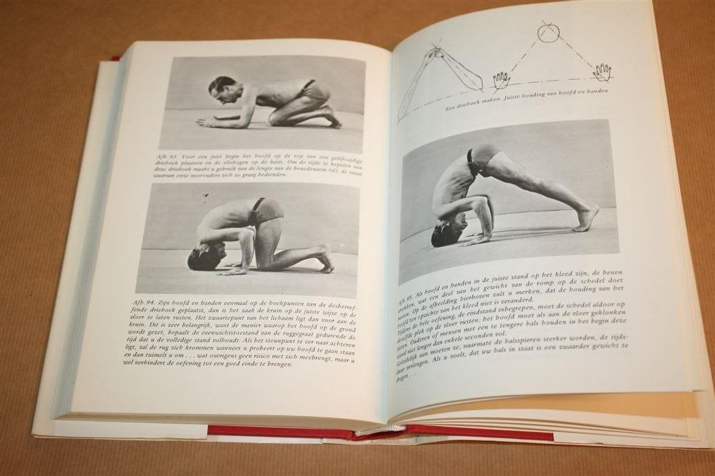 Yoga doen en begrijpen - André van Lysebeth, Boeken, Ophalen of Verzenden, Gelezen, Overige onderwerpen, Achtergrond en Informatie