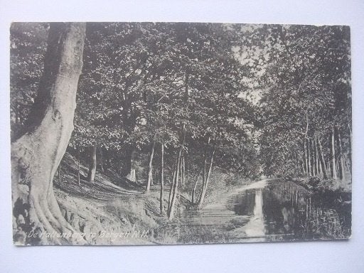 P315 Bergen NH - De Kattenberg - 1913, Verzenden, Voor 1920, Gelopen, Noord-Holland