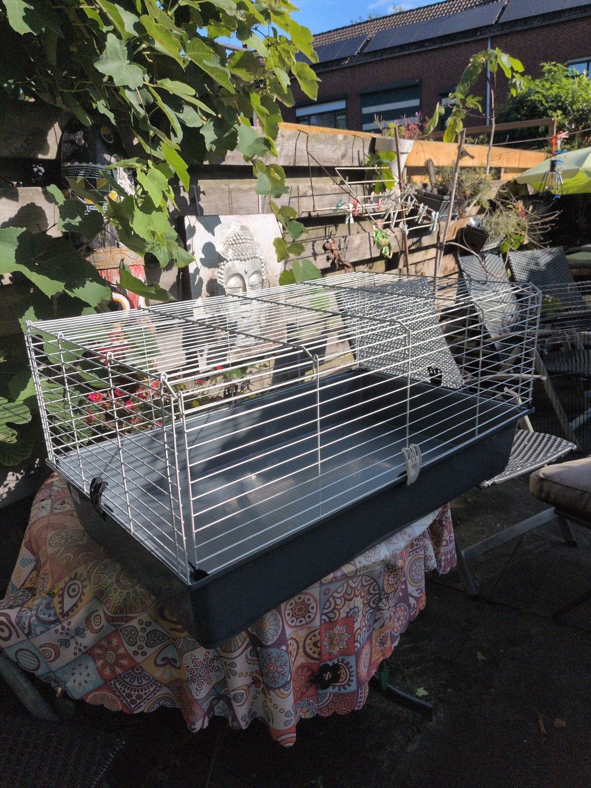 caviakooi, Kooi, Cavia, Zo goed als nieuw, 75 tot 110 cm