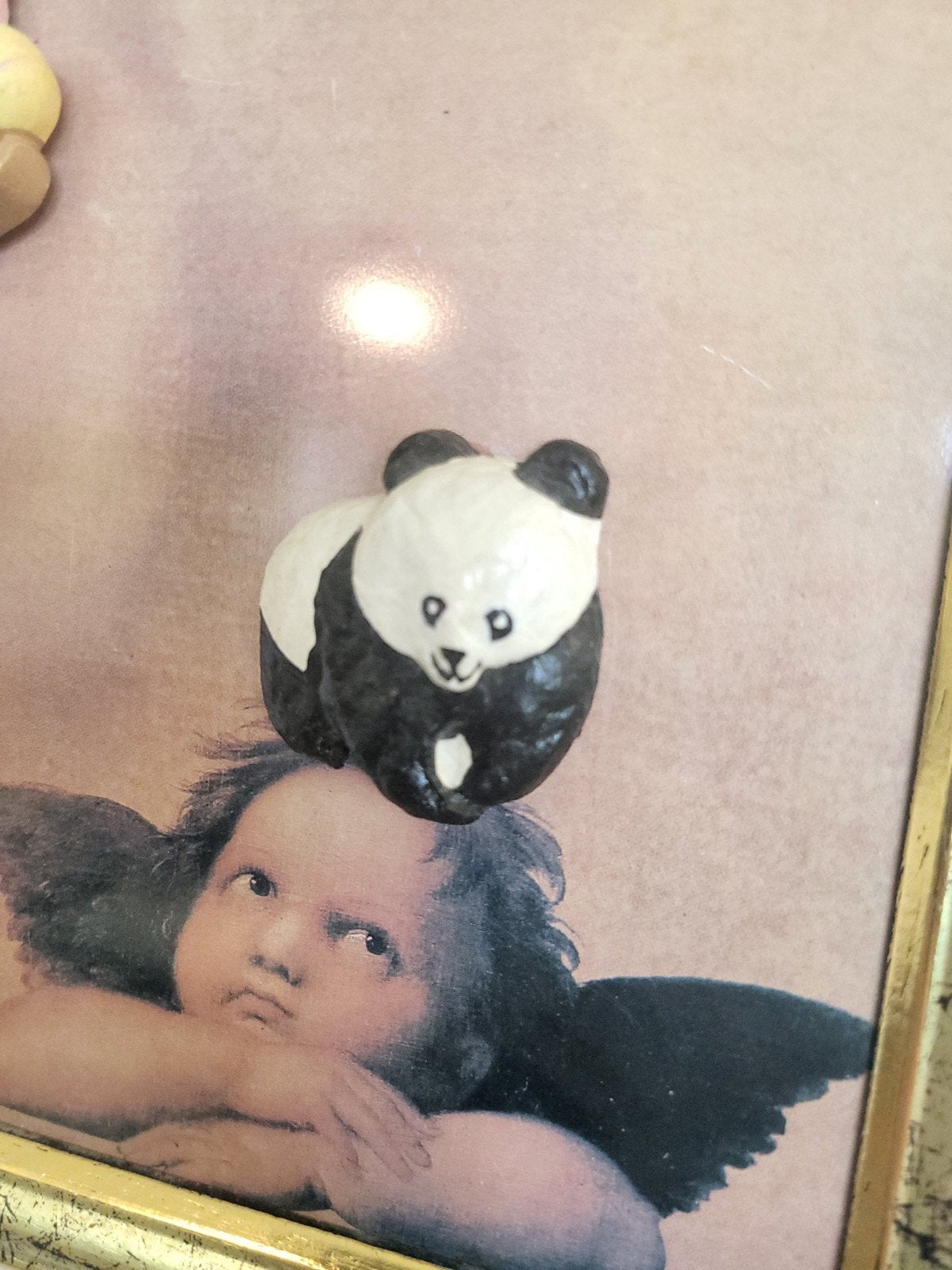 gratis wwf panda magneet, Ophalen, Gebruikt, Dier