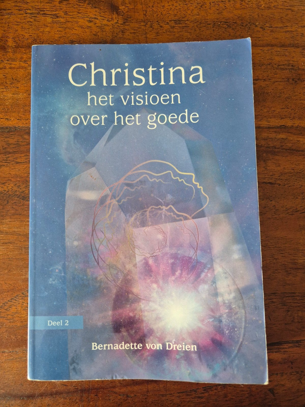 Bernadette von Dreien - Het visioen over het goede, Gelezen, Achtergrond en Informatie, Spiritualiteit algemeen, Ophalen of Verzenden