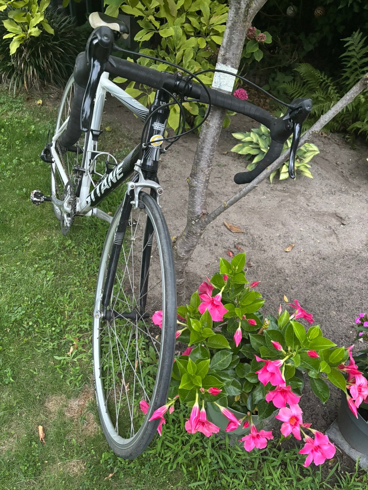 Giant Gitane Wielrenfiets racefiets zwart wit grijs frame 52, Ophalen, Gebruikt, Aluminium, 49 tot 53 cm