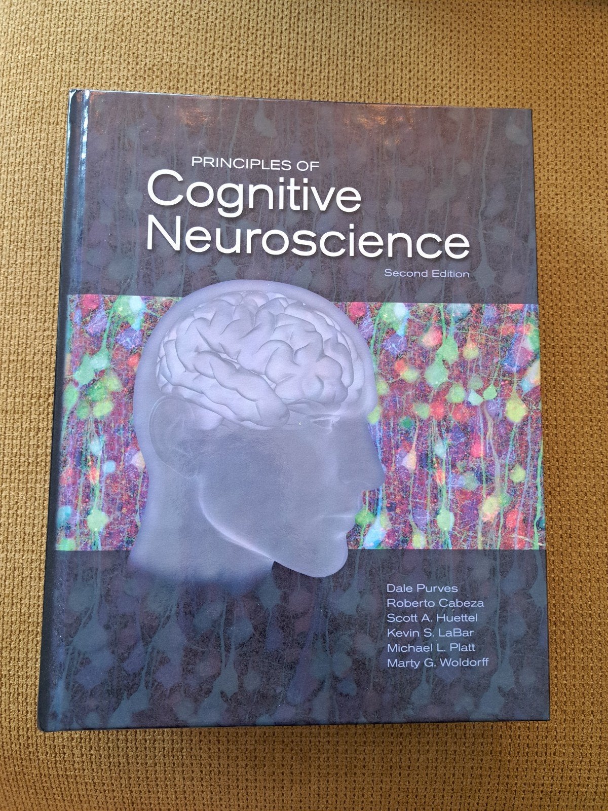 Principles of Cognitive Neuroscience