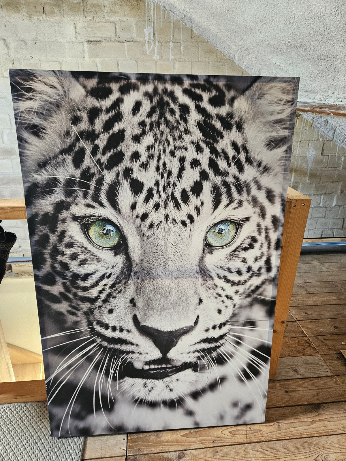 Canvas schilderij luipaard met groene ogen, Ophalen
