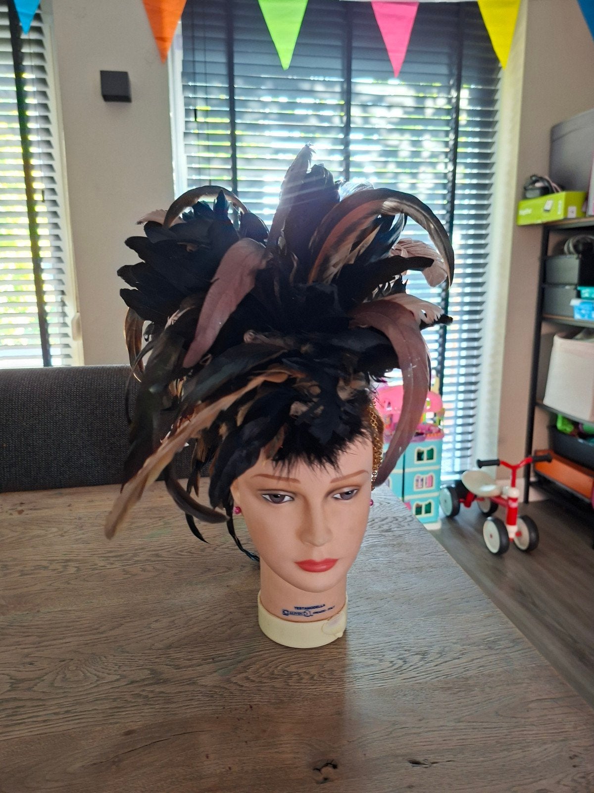 Unieke veren hoofdtooi - perfect voor carnaval of themafeest, Ophalen, Zo goed als nieuw, Carnaval, Accessoires