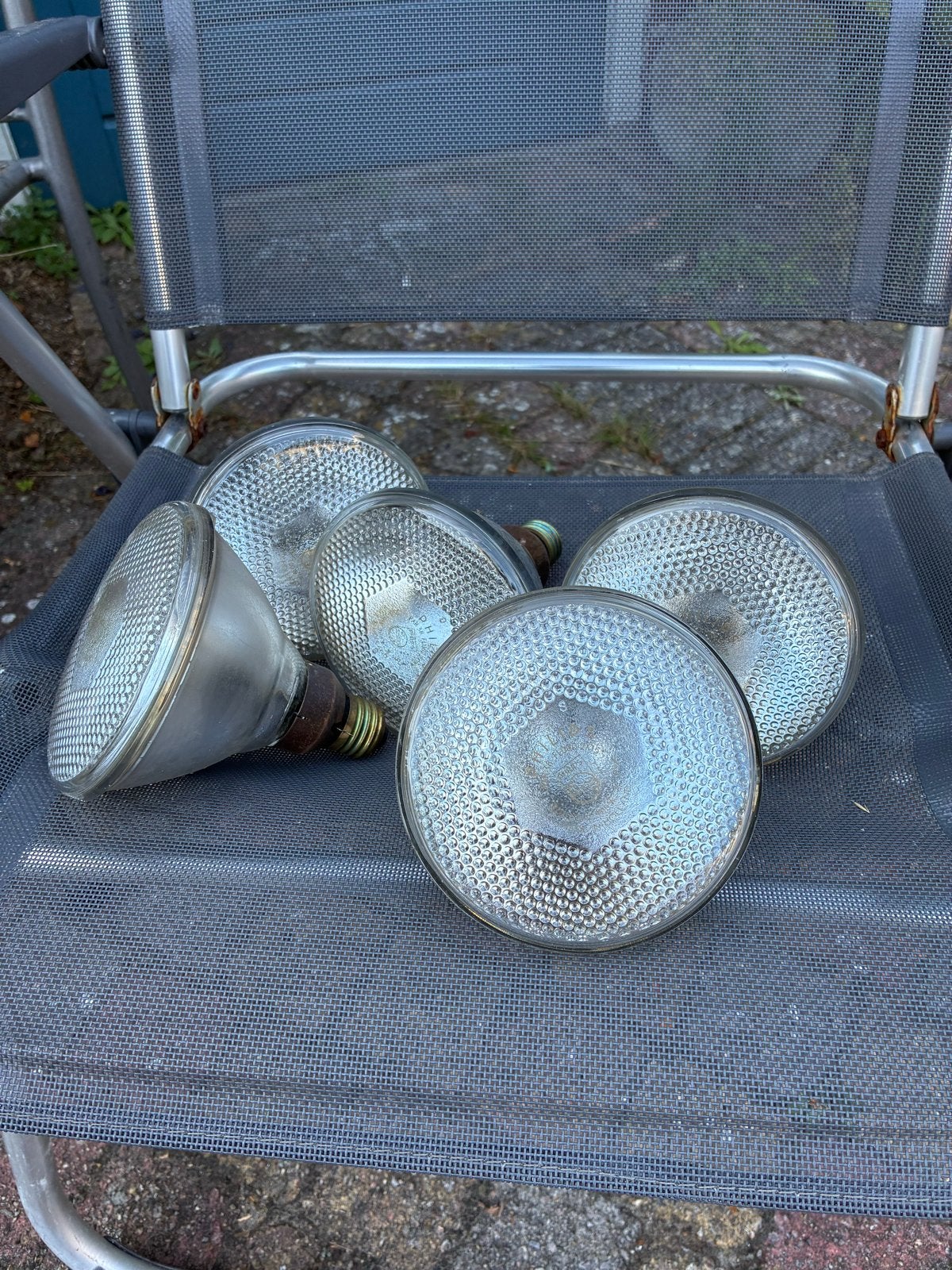 Philips PAR38 Flood Gloeilampen 100W (2 stuks), Philips, Gebruikt, Gloeilamp, 60 watt of meer
