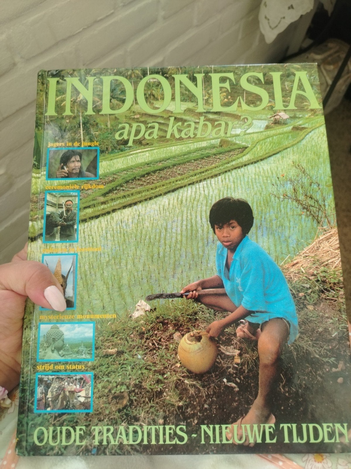 Indonesië: Oude Tradities - Nieuwe Tijden (Reisgids), Reimar Schefold, Nico de Jonge, Ophalen of Verzenden, Reisgids of -boek