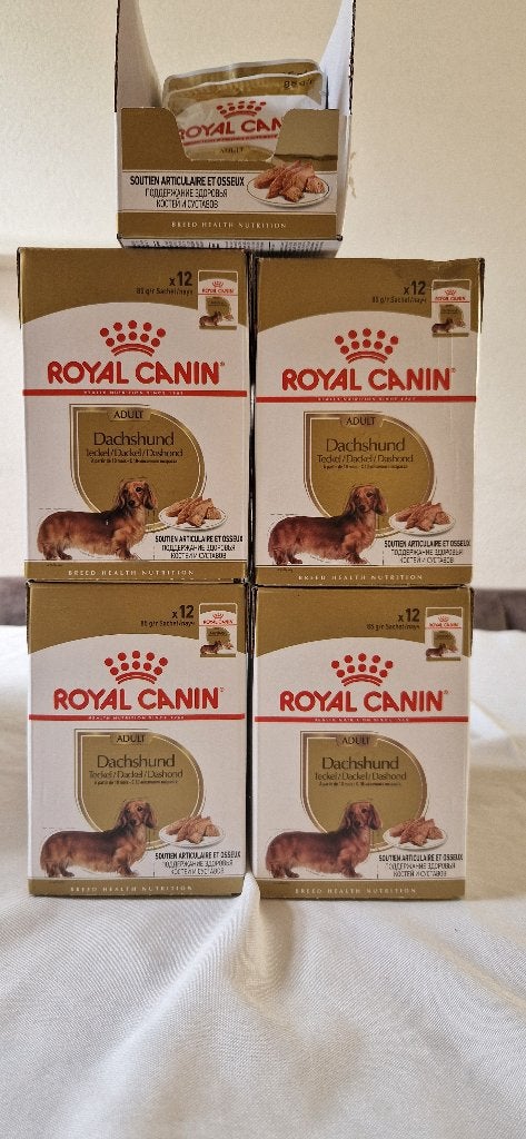 Royal Canin Dachshund natvoer 53 zakjes, Dieren en Toebehoren, Dierenvoeding, Ophalen of Verzenden, Hond
