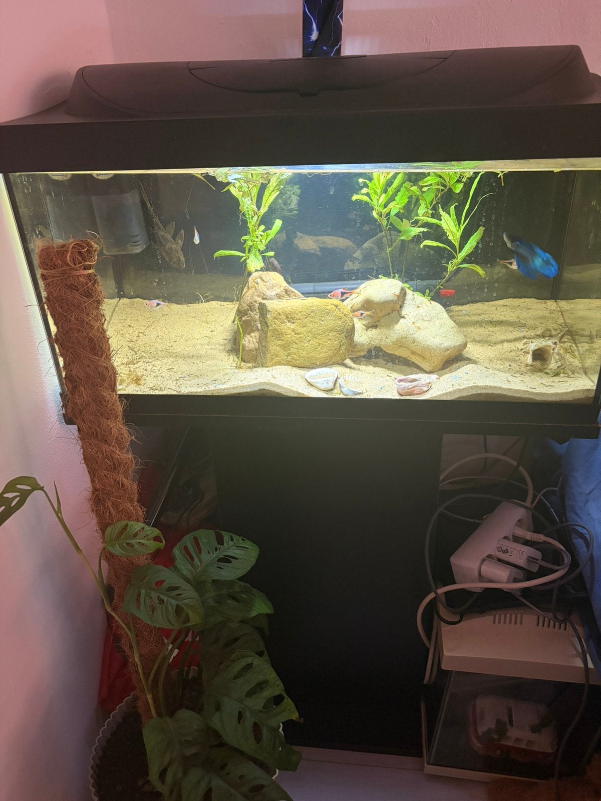 Tetra aquarium 54l met kast, Ophalen, Zo goed als nieuw