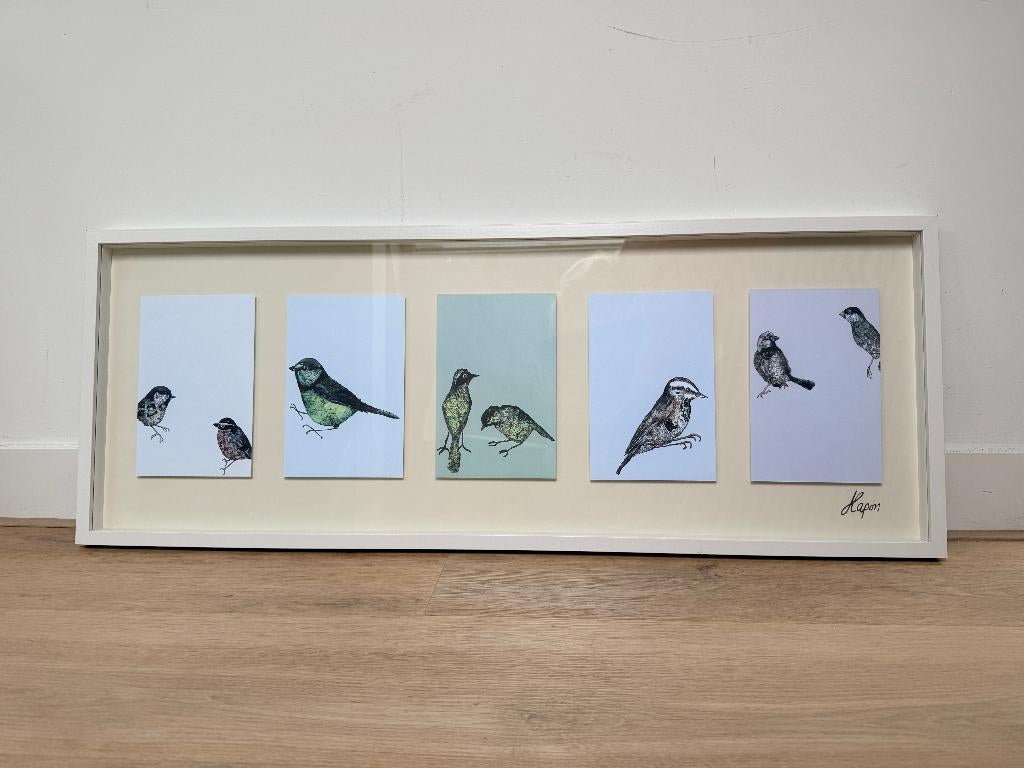 Leuk kunstwerk van Ikea: lijst met 5 prints van vogels, Ophalen, Zo goed als nieuw, Hout