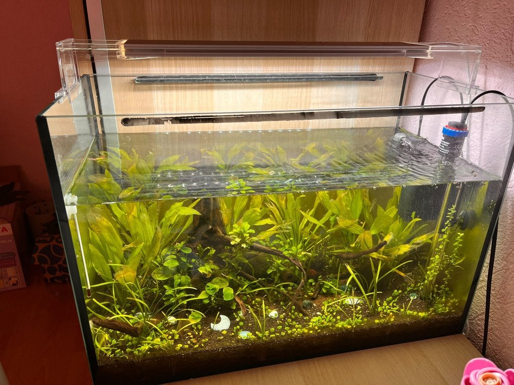 Aquarium met garnalen en guppy + kast, Ophalen, Overige merken, Pomp, Gevuld zoetwateraquarium