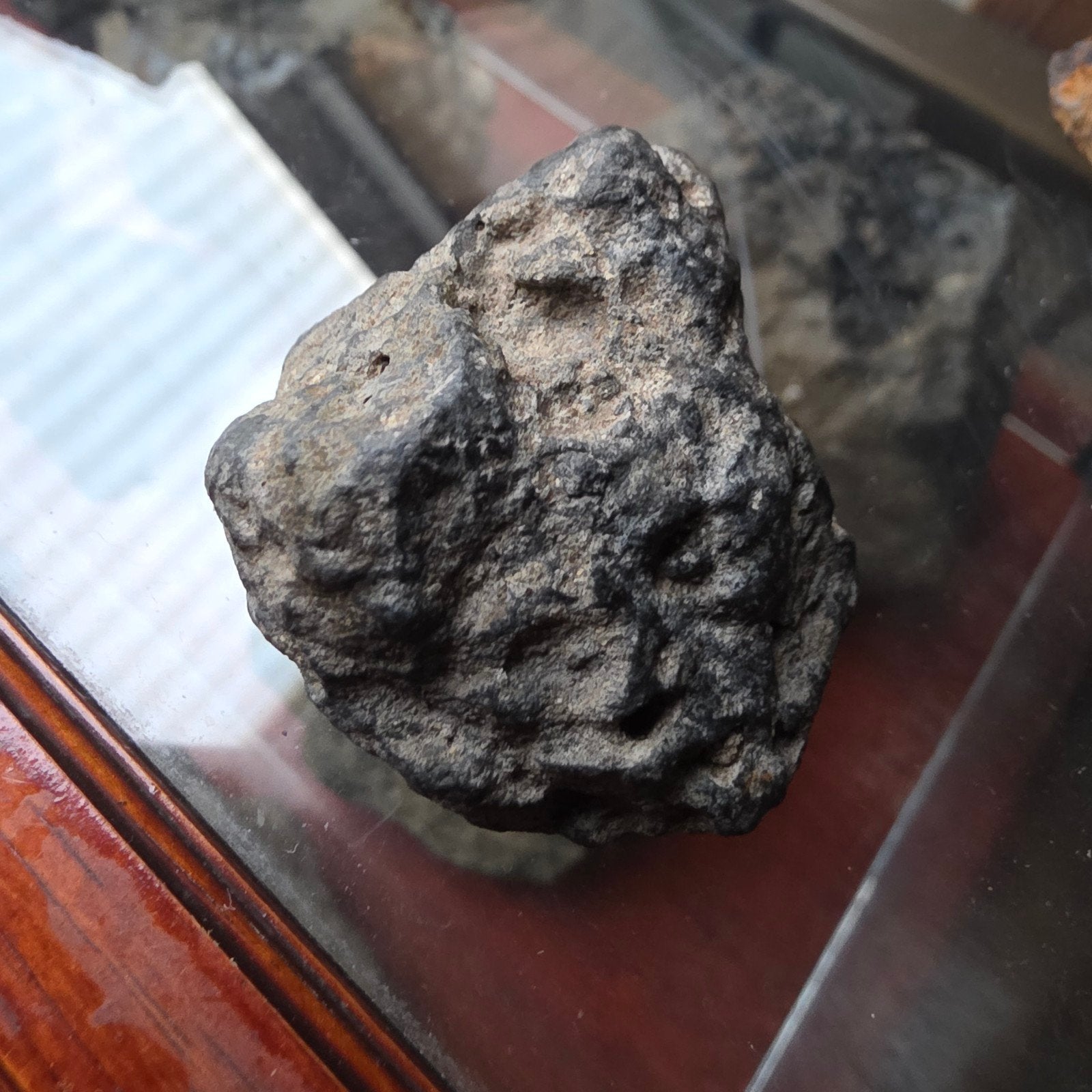 Ongeclassificeerde IJzerhoudende Pallasiet Meteoriet, Verzamelen, Mineralen en Fossielen, Ophalen of Verzenden