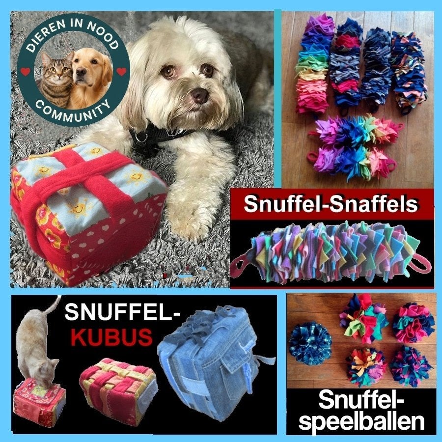 Nieuwe rage: snuffelkubussen - hersenactiviteit tbv honden!, Dieren en Toebehoren, Honden | Niet-rashonden, Particulier, 1 tot 2 jaar