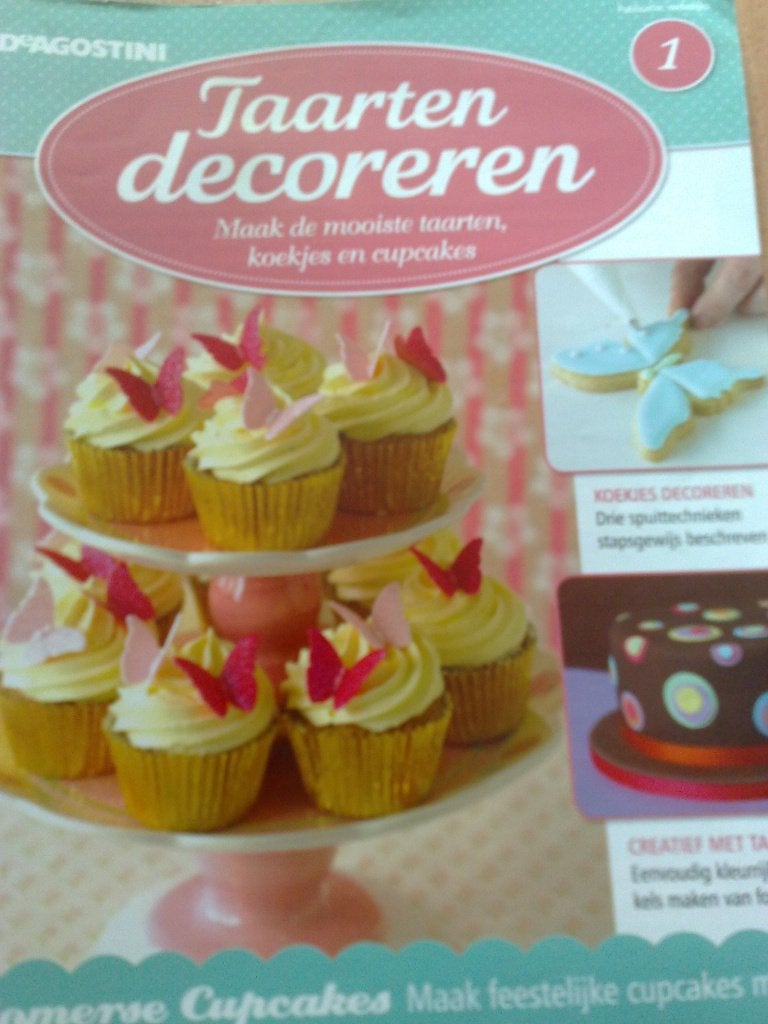 16 Boeken = Taarten Decoreren - €2 per stuk, Hobby en Vrije tijd, Verzenden, Zo goed als nieuw, Taarten, Boek of Tijdschrift