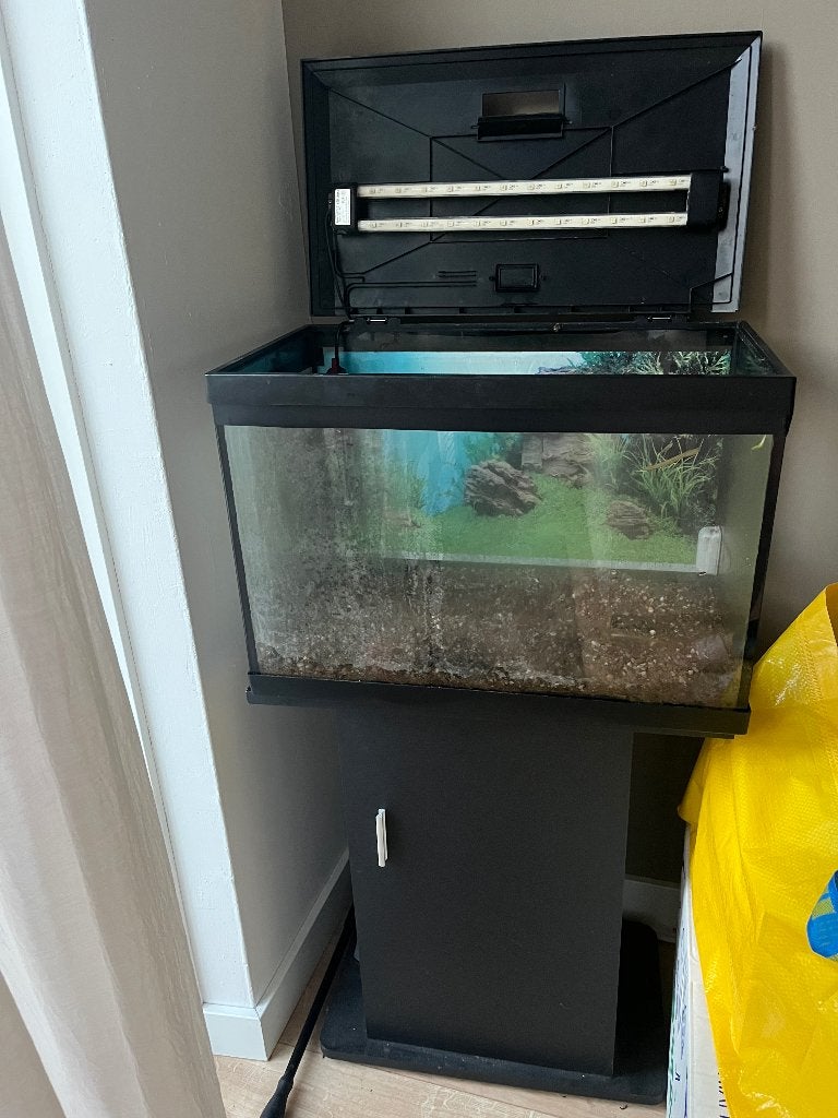 Aquarium, Ophalen, Inclusief toebehoren, Gebruikt, Leeg aquarium