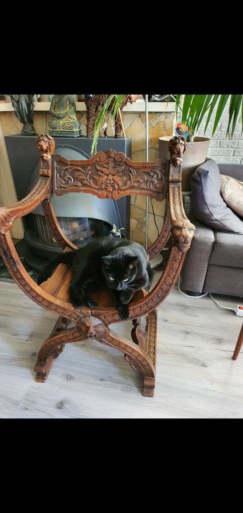Antieke Dagobert stoel, eikenhout. Poes exclusief!, Ophalen