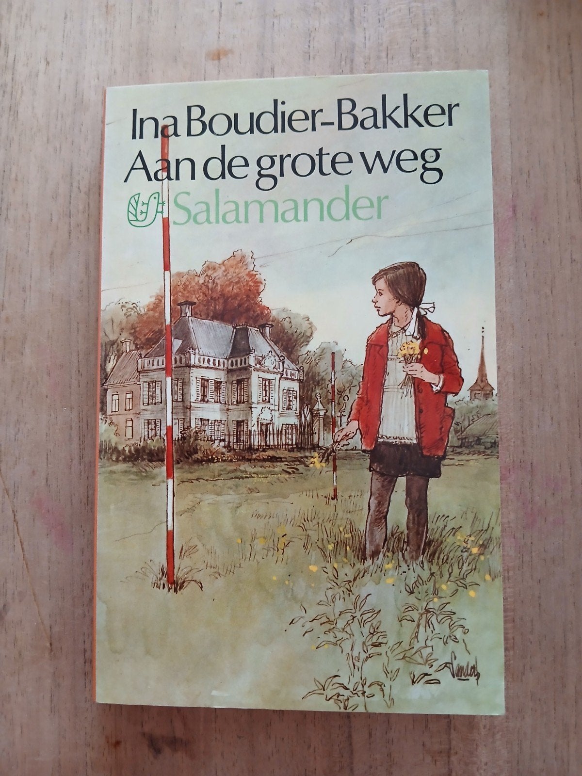 Ina Boudier-Bakker - Aan de grote weg (Salamander), Ophalen of Verzenden, Gelezen, Ina Boudier-Bakker