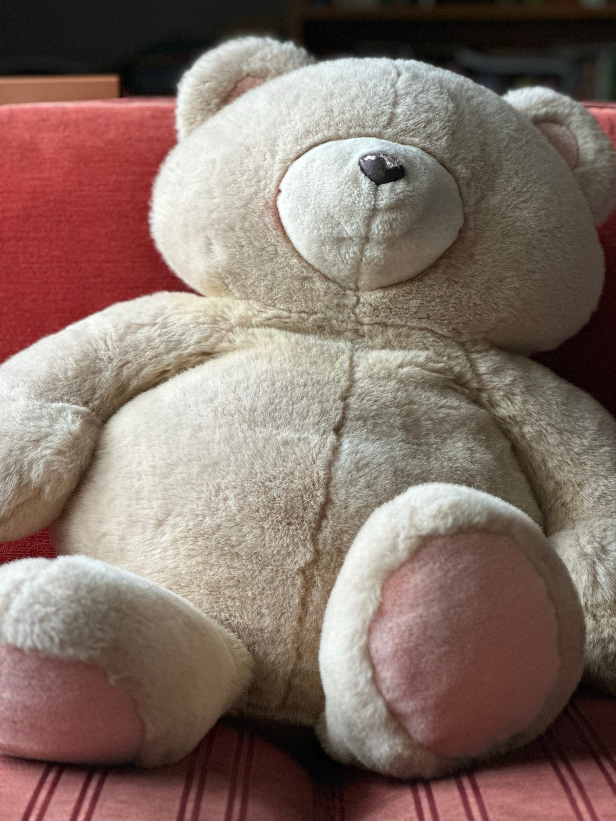 Grote zachte beige Forever Friends beer - knuffel, Kinderen en Baby's, Speelgoed | Knuffels en Pluche, Zo goed als nieuw, Beer