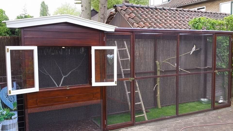volière kippen vogels, Ophalen, Gebruikt, Hout, Volière