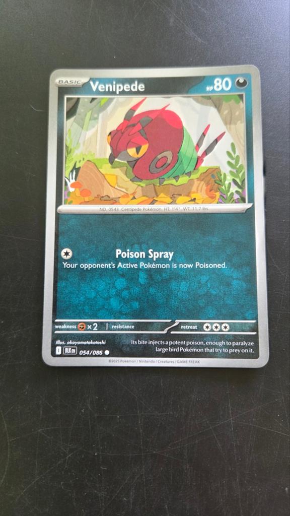 Venipede 054/086 - Black bolt Set - Pokémon Kaart, Verzenden, Zo goed als nieuw, Losse kaart
