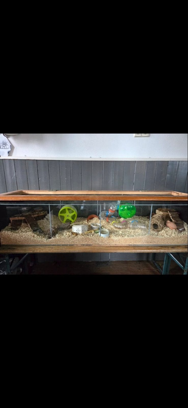 Hamsterbak/ vitrine, Ophalen, Gebruikt