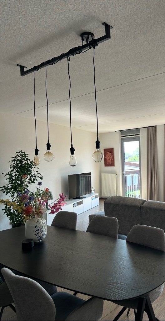 Industriële hanglamp | frame + lamp, Ophalen, Dimbaar, Gebruikt, E27 (groot)