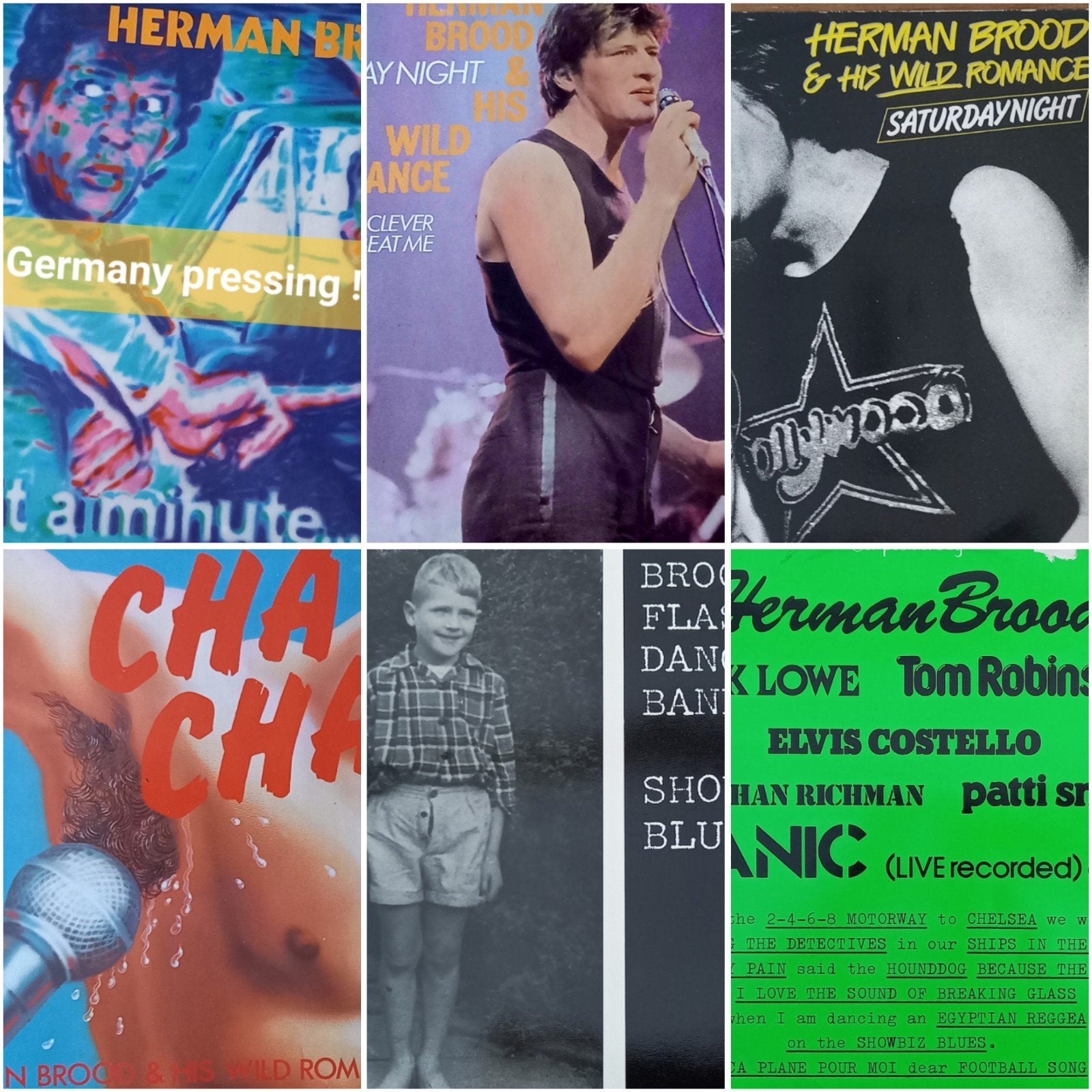 Herman Brood  LP's, Ophalen of Verzenden, Gebruikt, Overige formaten