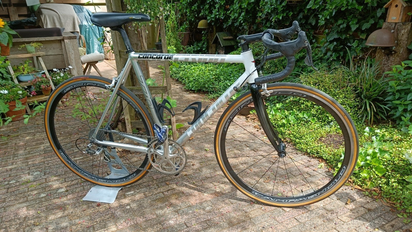 Concorde 770 Carbon Racefiets -Campagnolo Record Afgemonteer, Ophalen