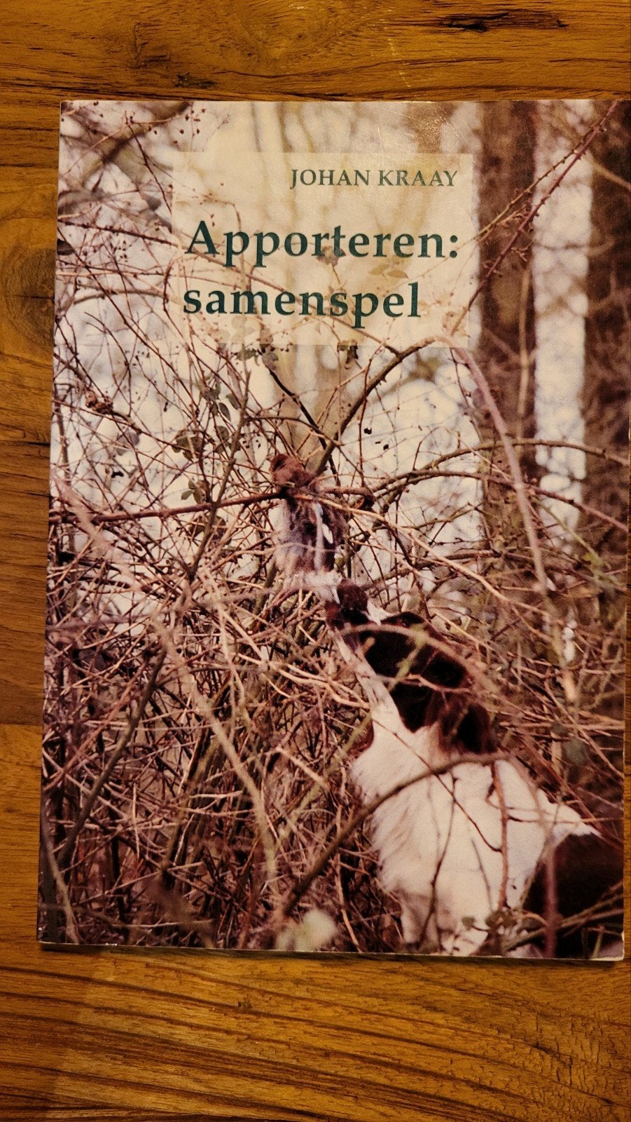 Apporteren: samenspel - Johan Kraay (Honden training), Ophalen of Verzenden