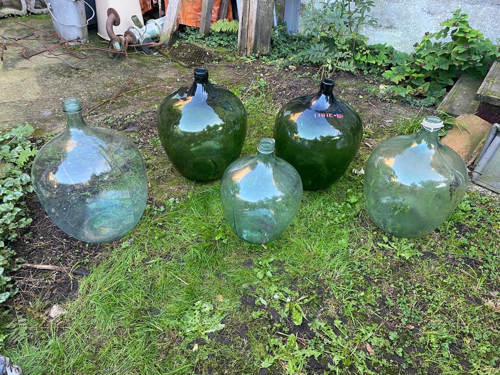 5x grote gistfles / dame jeanne, Ophalen