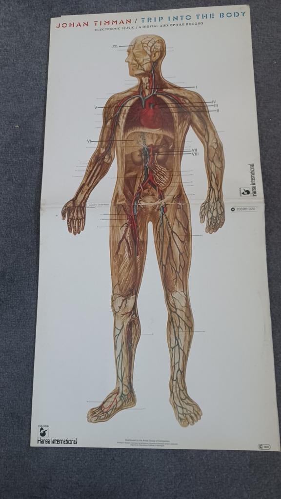 Johan Timman. Lp Trip into the body., Ophalen of Verzenden, Gebruikt, 12 inch