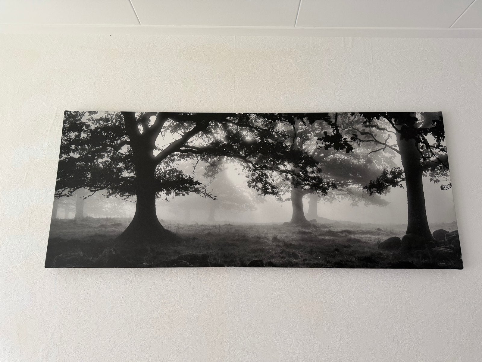 Mysterieuze mistige bos canvas print, Ophalen, Print, Fotografie, Ingelijst