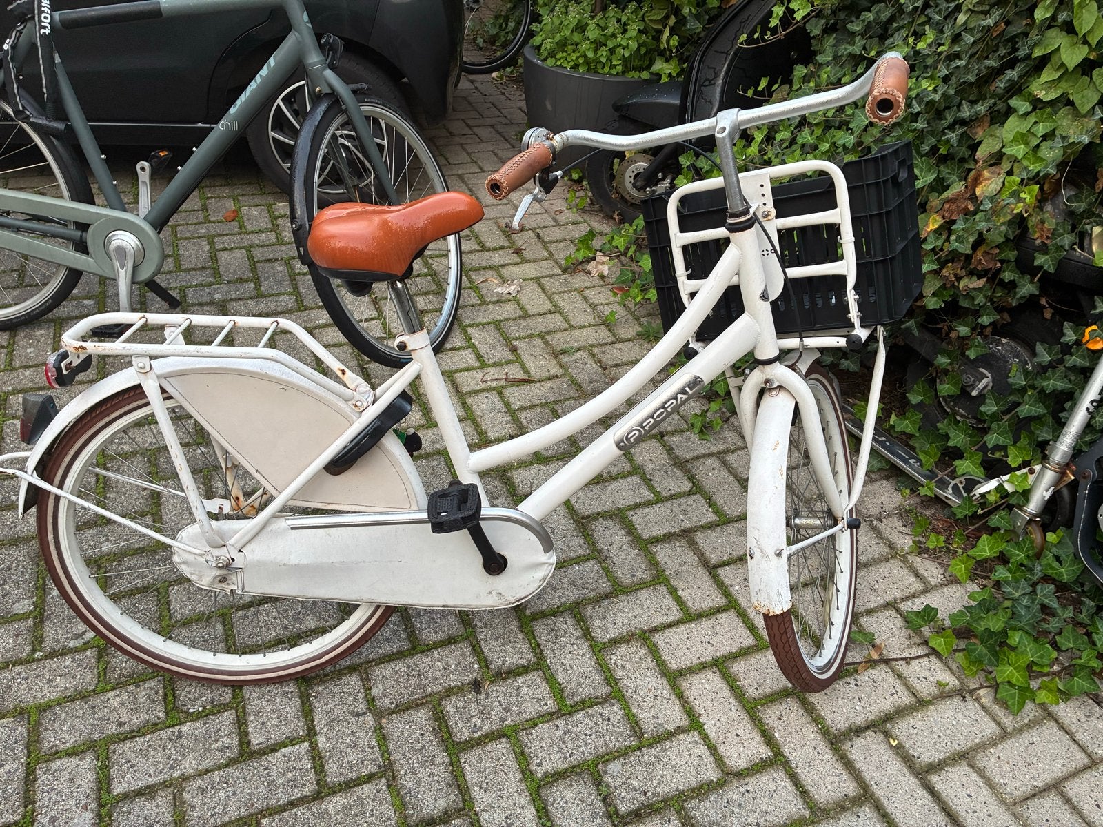Popal Daily Dutch Basic 24inch - Wit, Ophalen, Gebruikt, 24 inch