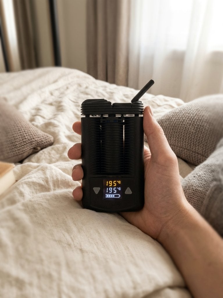 Mighty vaporizer (Storz & Bickel), Ophalen of Verzenden, Gebruikt