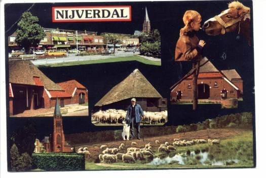 Nijverdal Collage Schapen Herder Schaapskooi Ongelopen, Verzamelen, Ophalen of Verzenden, 1980 tot heden, Ongelopen, Overijssel