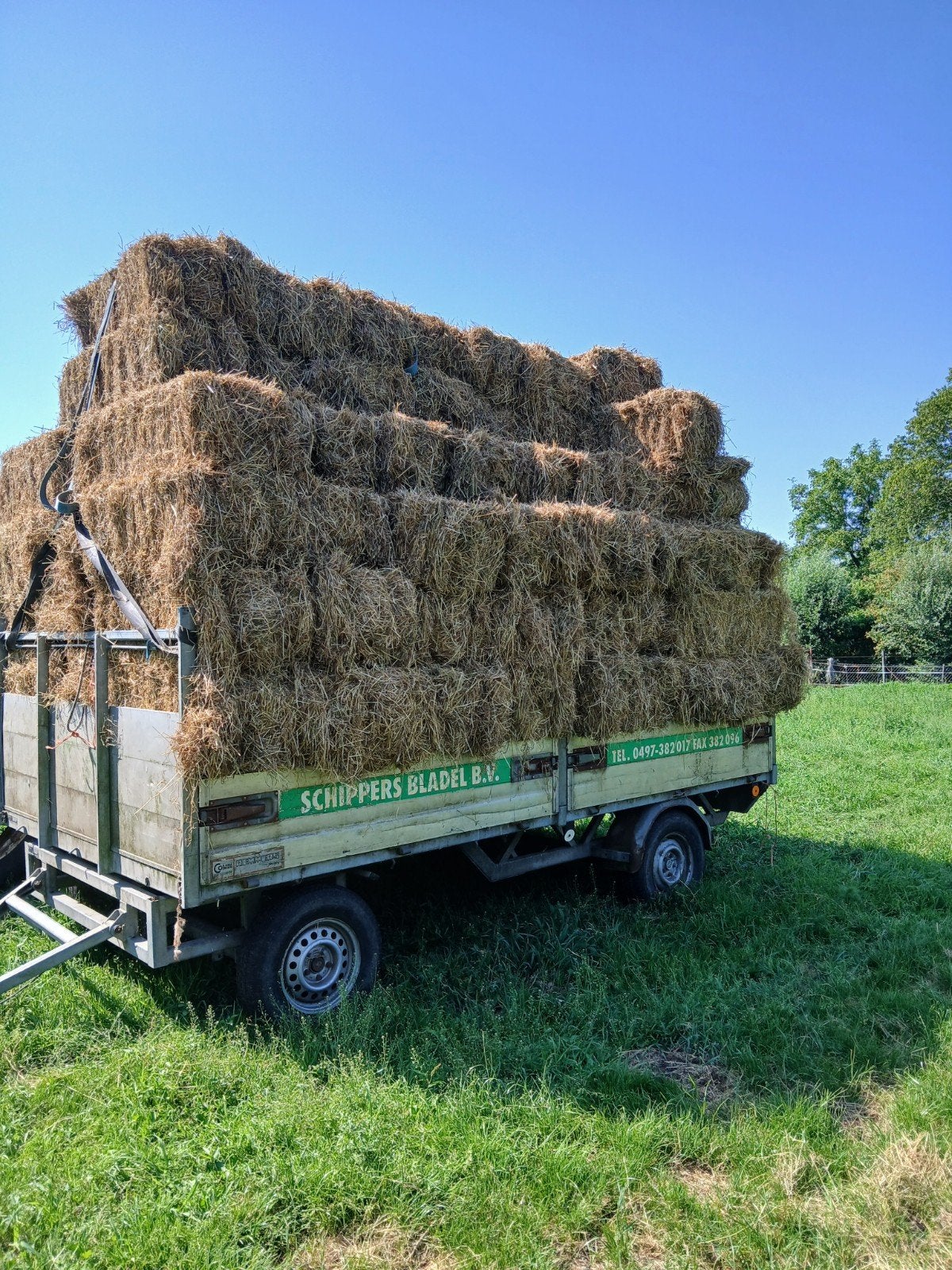 Hooi, kleine pakken 22a25 kg. Geen onkruid/Jacobskruiskruid, Ophalen of Verzenden, Vee